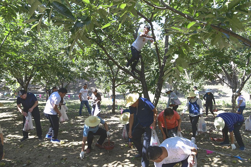 1537266972930304.jpg 1537266972930304.jpg