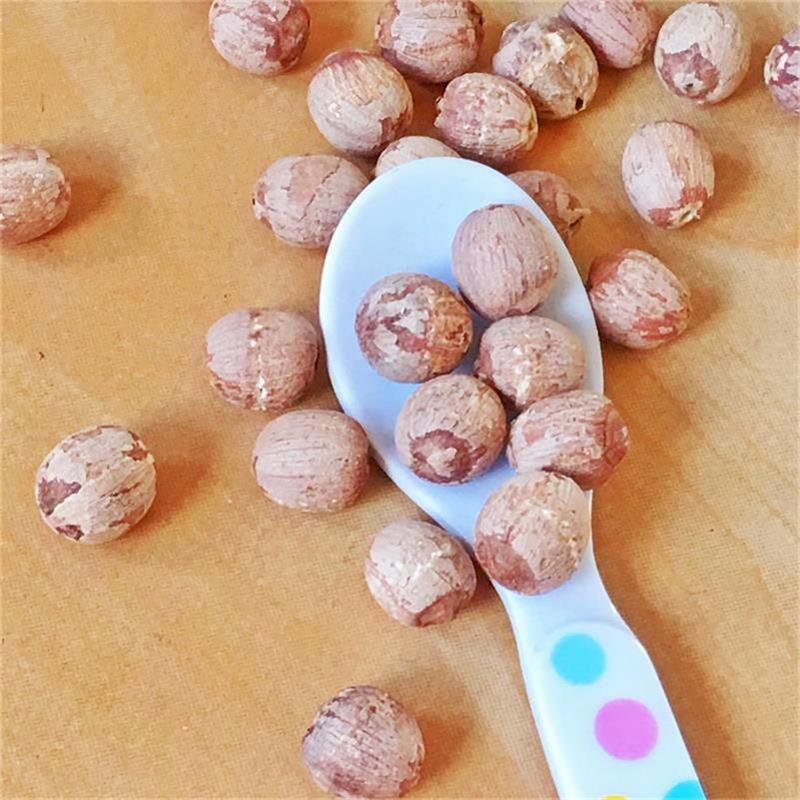 Red Lotus Seeds Nuts with Core Plumule Red Lotus Seeds Nuts with Core Plumule