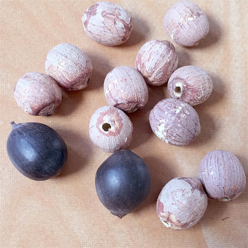 Red Lotus Seeds Nuts with Core Plumule Red Lotus Seeds Nuts with Core Plumule