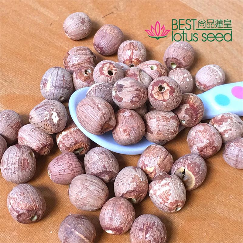 Red Lotus Seeds Nuts without Core Plumule Red Lotus Seeds Nuts without Core Plumule