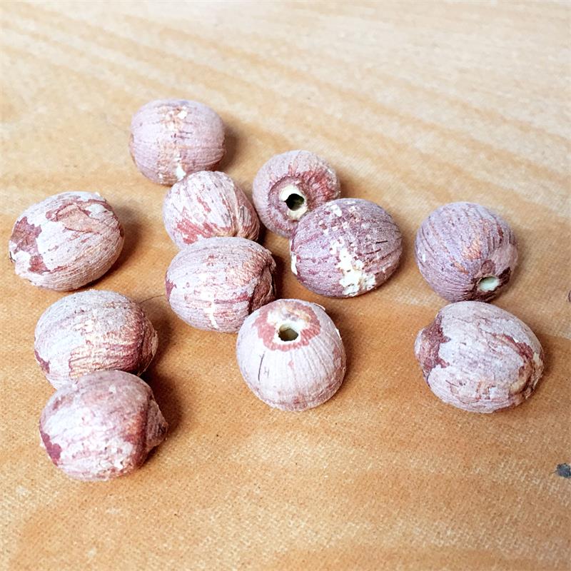 Red Lotus Seeds Nuts without Core Plumule Red Lotus Seeds Nuts without Core Plumule