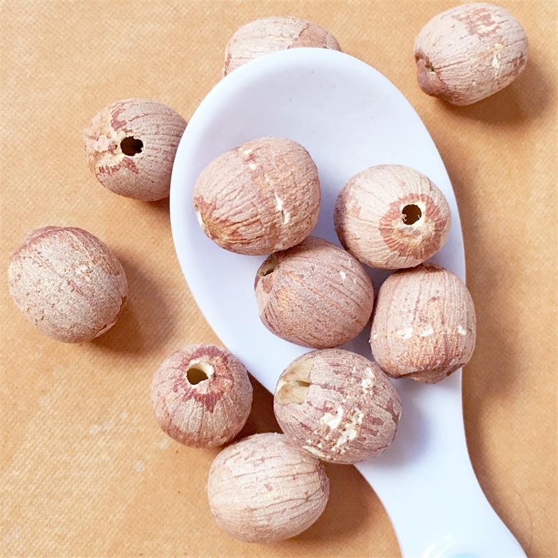 Red Lotus Seeds Nuts without Core Plumule Red Lotus Seeds Nuts without Core Plumule