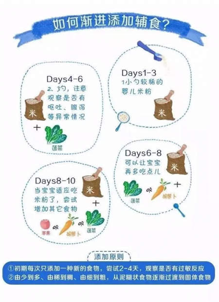 宝宝辅食:人之初教你DIY高颜值营养辅食