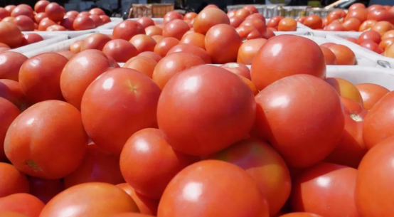 1552447421733758.png image.png