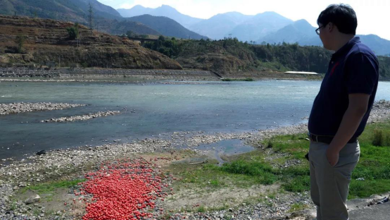 1552447402138733.png image.png