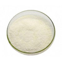 壳聚糖 批发壳聚糖 食品级壳聚糖 壳聚糖价格