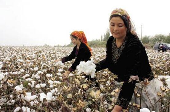 新疆农副产品西南集散交易中心项目隆重签约 新疆馆正式落户渝西国际