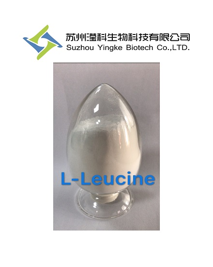 33 L-亮氨酸