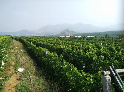 1623906005990765.png image.png