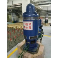 沈阳飞力污水泵赛莱默品牌