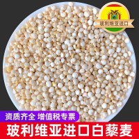 玻利维亚进口白藜麦批发