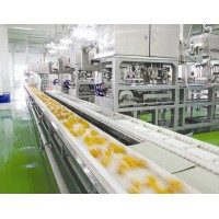 江西九江食品SC无尘车间设计布局方案