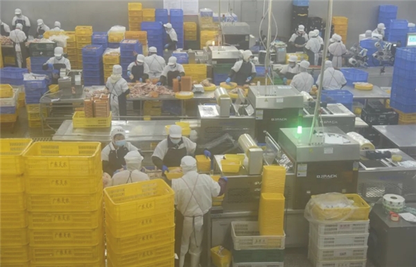 天农集团 天农集团