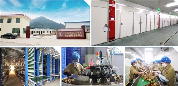 天农集团 天农集团