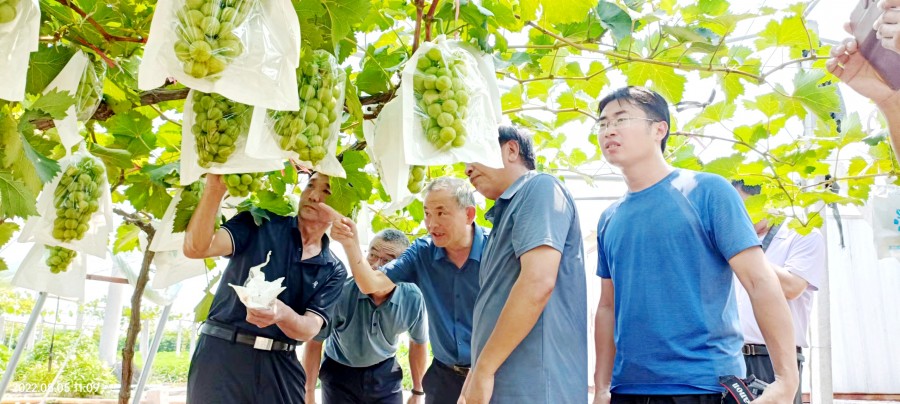 20D3B87B-891F-42DA-BC21-10B5D4976026