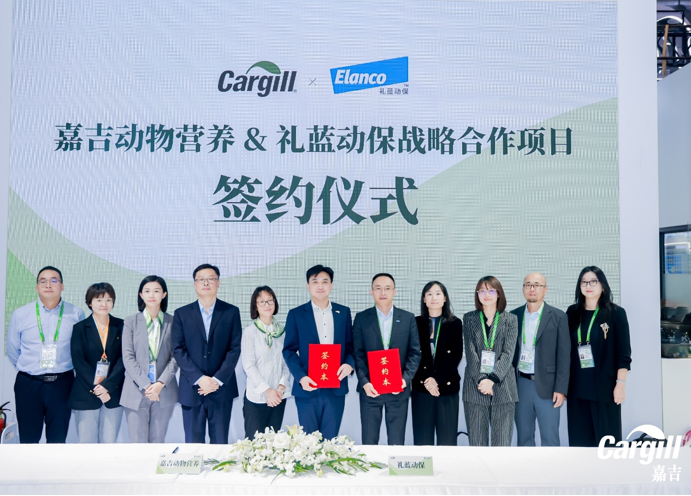 QQ截图20241106163540