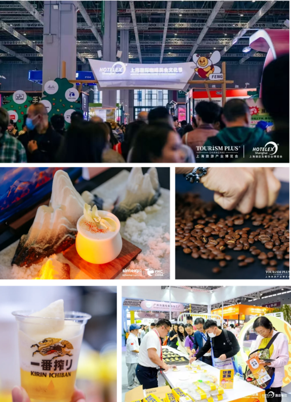 QQ截图20241204160546