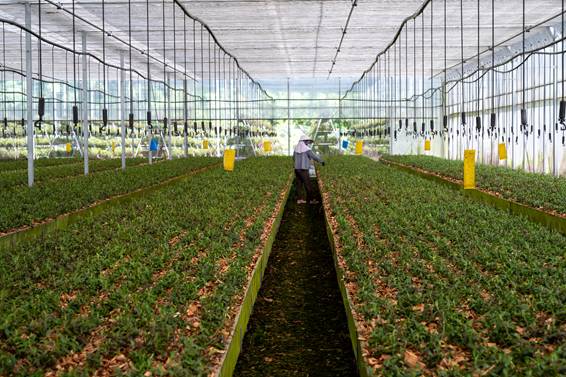 18ec14dd25d38acd6fa49a83a851d34