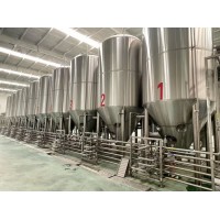 啤酒发酵罐 酿造精酿啤酒的设备生产厂家