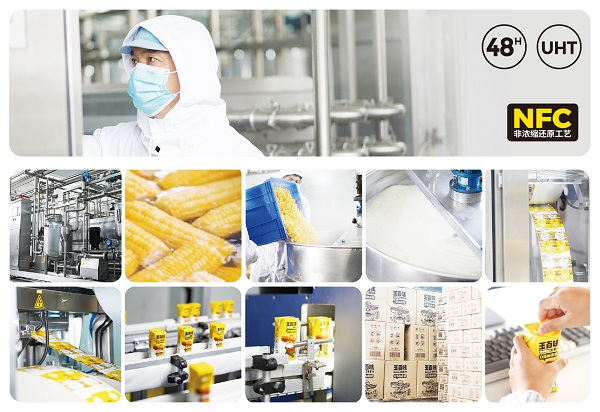 1763021223742963.jpg 4.jpg